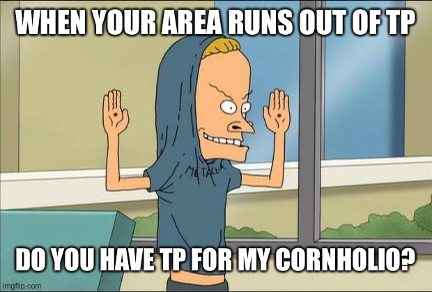 Beavis Cornholio | WHEN YOUR AREA RUNS OUT OF TP; DO YOU HAVE TP FOR MY CORNHOLIO? | image tagged in beavis cornholio | made w/ Imgflip meme maker