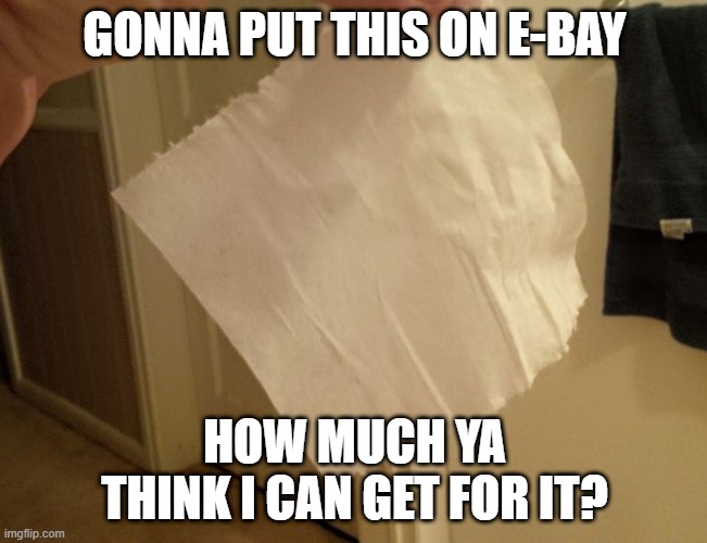 TP Anyone? | GONNA PUT THIS ON E-BAY; HOW MUCH YA THINK I CAN GET FOR IT? | image tagged in coronavirus | made w/ Imgflip meme maker