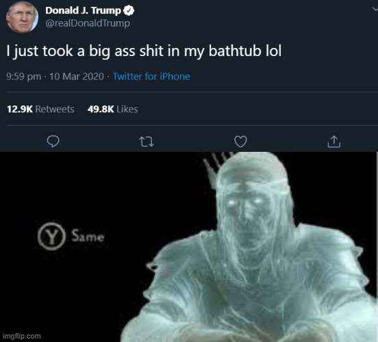 Trump takes shit in bathtub (Made both pictures myself, mmkayyy?) | image tagged in donald trump,same | made w/ Imgflip meme maker