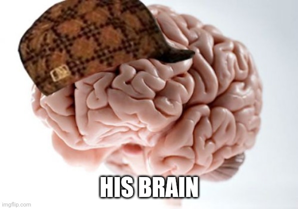Scumbag Brain Meme | HIS BRAIN | image tagged in memes,scumbag brain | made w/ Imgflip meme maker