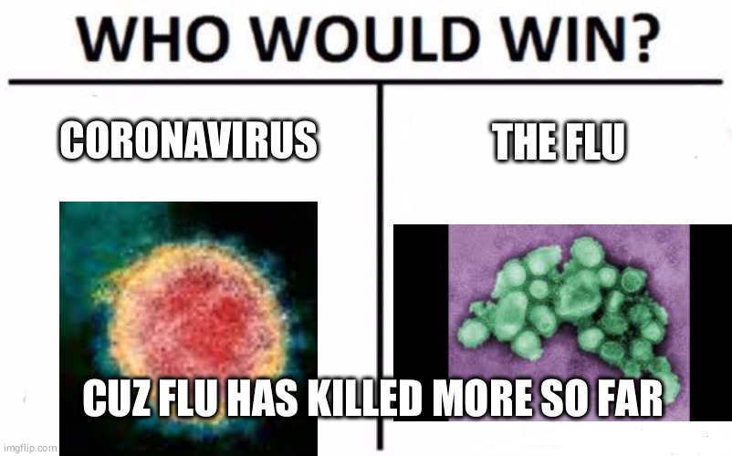 Who Would Win? Meme | CORONAVIRUS; THE FLU; CUZ FLU HAS KILLED MORE SO FAR | image tagged in memes,who would win | made w/ Imgflip meme maker