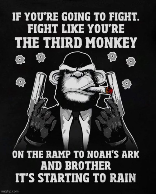 fight the coronavirus | image tagged in fight,3rd monkey | made w/ Imgflip meme maker