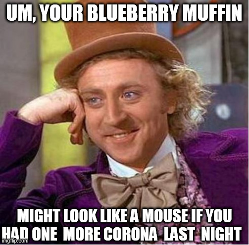 UM, YOUR BLUEBERRY MUFFIN MIGHT LOOK LIKE A MOUSE IF YOU HAD ONE  MORE CORONA  LAST  NIGHT | made w/ Imgflip meme maker