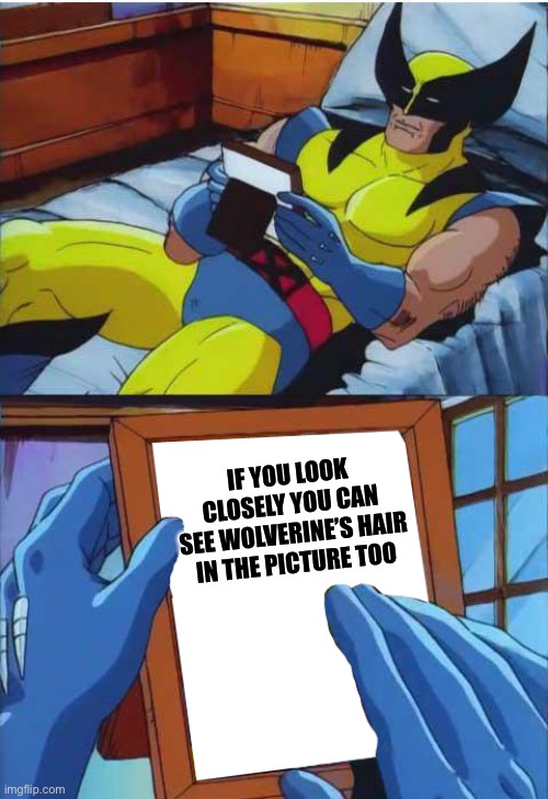 Wolverine Remember | IF YOU LOOK CLOSELY YOU CAN SEE WOLVERINE’S HAIR IN THE PICTURE TOO | image tagged in wolverine remember | made w/ Imgflip meme maker