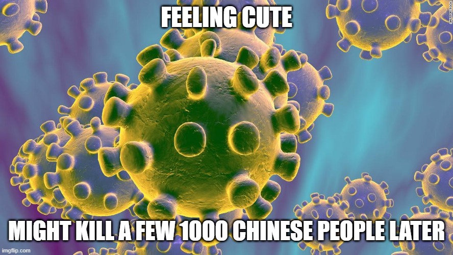 Feeling Cute | FEELING CUTE; MIGHT KILL A FEW 1000 CHINESE PEOPLE LATER | image tagged in coronavirus | made w/ Imgflip meme maker