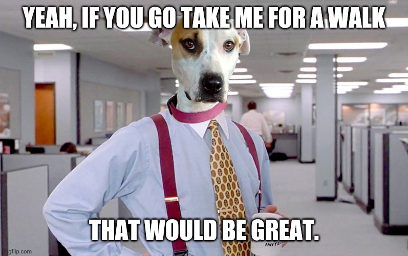 Office Space Pit Bull | YEAH, IF YOU GO TAKE ME FOR A WALK; THAT WOULD BE GREAT. | image tagged in office space pit bull | made w/ Imgflip meme maker