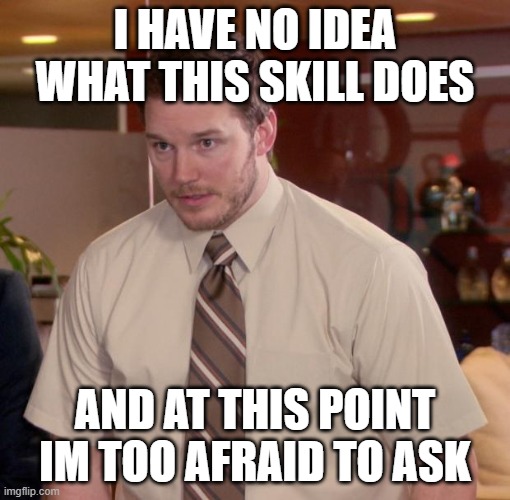 Chris Pratt meme | I HAVE NO IDEA WHAT THIS SKILL DOES; AND AT THIS POINT IM TOO AFRAID TO ASK | image tagged in chris pratt meme | made w/ Imgflip meme maker