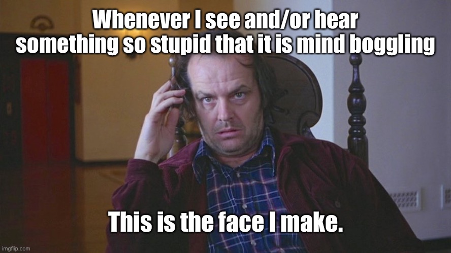 I forgot what my title for this meme was going to be......-_- |  Whenever I see and/or hear something so stupid that it is mind boggling; This is the face I make. | image tagged in jack torrance axe shining,jack torrance,stupid,facial expressions,moronic,ignorance | made w/ Imgflip meme maker