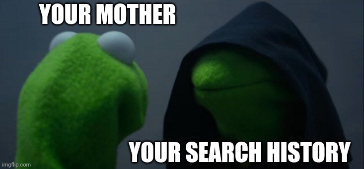 Evil Kermit | YOUR MOTHER; YOUR SEARCH HISTORY | image tagged in memes,evil kermit | made w/ Imgflip meme maker