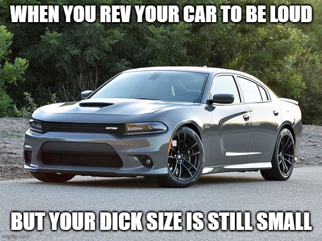 Dodge | WHEN YOU REV YOUR CAR TO BE LOUD; BUT YOUR DICK SIZE IS STILL SMALL | image tagged in dodge | made w/ Imgflip meme maker