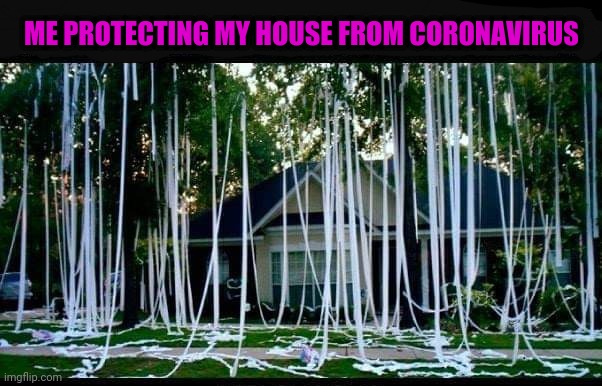 ME PROTECTING MY HOUSE FROM CORONAVIRUS | image tagged in memes,coronavirus,toilet paper,safety,panic,meanwhile on imgflip | made w/ Imgflip meme maker