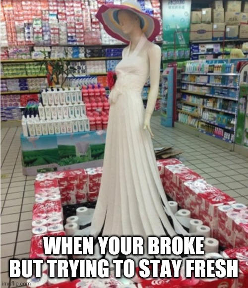 WHEN YOUR BROKE BUT TRYING TO STAY FRESH | image tagged in toilet paper,broke,fashion,fresh | made w/ Imgflip meme maker