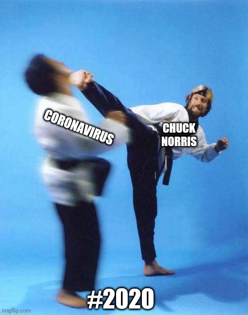 Roundhouse Kick Chuck Norris | CORONAVIRUS; CHUCK NORRIS; #2020 | image tagged in roundhouse kick chuck norris,coronavirus,2020,health,news | made w/ Imgflip meme maker