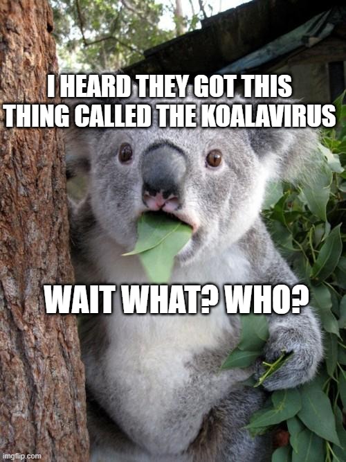 Surprised Koala | I HEARD THEY GOT THIS THING CALLED THE KOALAVIRUS; WAIT WHAT? WHO? | image tagged in memes,surprised koala | made w/ Imgflip meme maker