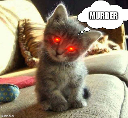 Murder Kitty | MURDER | image tagged in cats,demon,donald trump,joe biden,ariana grande,covid-19 | made w/ Imgflip meme maker