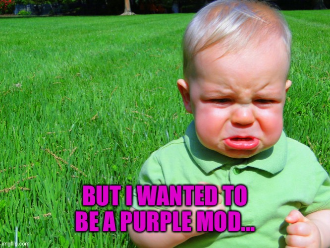 toddler pouting | BUT I WANTED TO BE A PURPLE MOD... | image tagged in toddler pouting | made w/ Imgflip meme maker