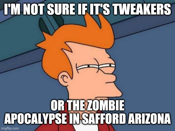 Futurama Fry | I'M NOT SURE IF IT'S TWEAKERS; OR THE ZOMBIE APOCALYPSE IN SAFFORD ARIZONA | image tagged in memes,futurama fry | made w/ Imgflip meme maker