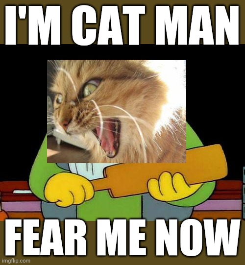 That's a paddlin' | I'M CAT MAN; FEAR ME NOW | image tagged in memes,that's a paddlin',angry cat,cats,dank memes,funny memes | made w/ Imgflip meme maker