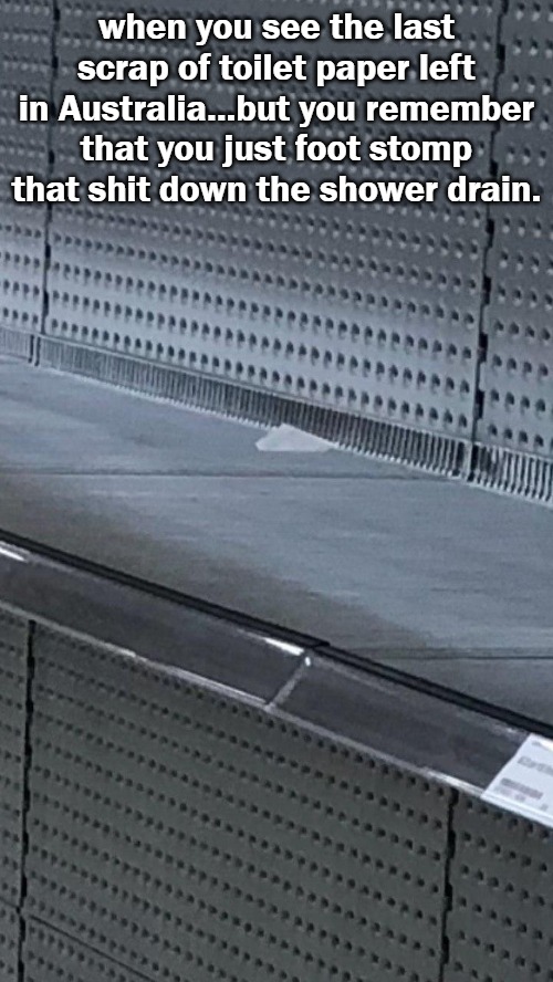 when you see the last scrap of toilet paper left in Australia...but you remember that you just foot stomp that shit down the shower drain. | image tagged in politics | made w/ Imgflip meme maker