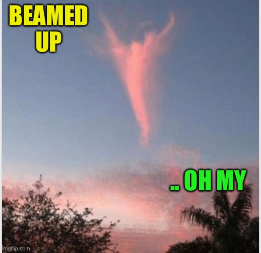 BEAMED UP .. OH MY | made w/ Imgflip meme maker
