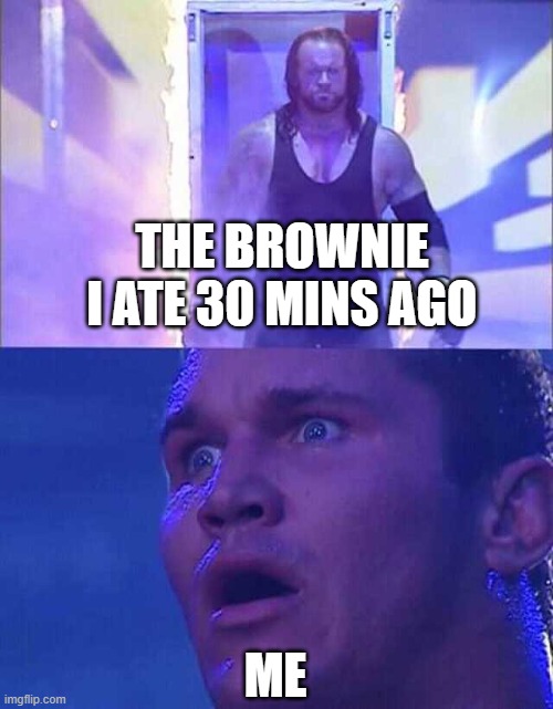 Randy Orton, Undertaker | THE BROWNIE I ATE 30 MINS AGO; ME | image tagged in randy orton undertaker | made w/ Imgflip meme maker