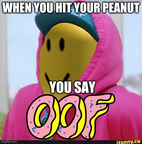 Roblox Oof | WHEN YOU HIT YOUR PEANUT; YOU SAY | image tagged in roblox oof | made w/ Imgflip meme maker