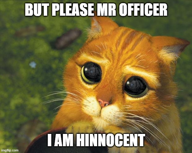 Pretty Please Cat | BUT PLEASE MR OFFICER I AM HINNOCENT | image tagged in pretty please cat | made w/ Imgflip meme maker
