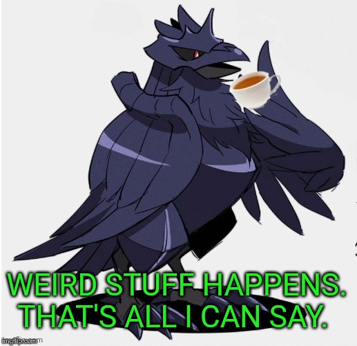The_Tea_Drinking_Corviknight | WEIRD STUFF HAPPENS. THAT'S ALL I CAN SAY. | image tagged in the_tea_drinking_corviknight | made w/ Imgflip meme maker