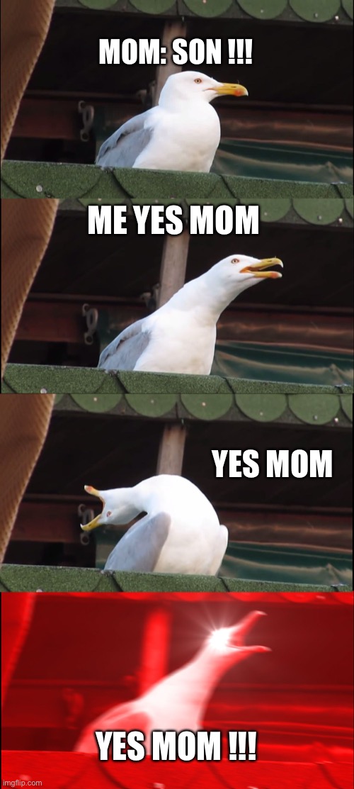 Inhaling Seagull | MOM: SON !!! ME YES MOM; YES MOM; YES MOM !!! | image tagged in memes,inhaling seagull | made w/ Imgflip meme maker