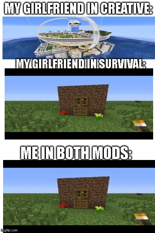 Blank White Template | MY GIRLFRIEND IN CREATIVE:; MY GIRLFRIEND IN SURVIVAL:; ME IN BOTH MODS: | image tagged in blank white template | made w/ Imgflip meme maker
