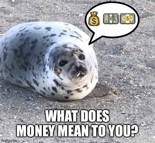 What does money mean to you? Happiness? Luxury? Or something else? | 💰 💴 💵; WHAT DOES MONEY MEAN TO YOU? | image tagged in money,seal,luxury,rich | made w/ Imgflip meme maker