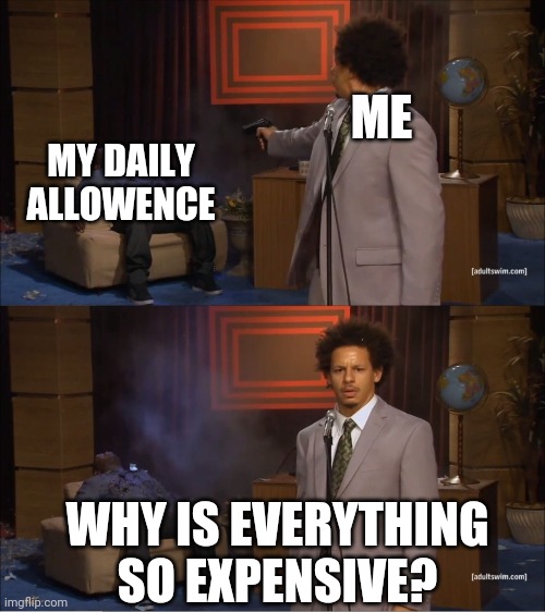 Why would they do this | ME; MY DAILY ALLOWENCE; WHY IS EVERYTHING SO EXPENSIVE? | image tagged in why would they do this | made w/ Imgflip meme maker