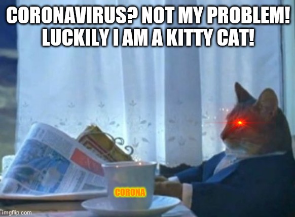 I Should Buy A Boat Cat Meme | CORONAVIRUS? NOT MY PROBLEM!
LUCKILY I AM A KITTY CAT! CORONA | image tagged in memes,i should buy a boat cat | made w/ Imgflip meme maker