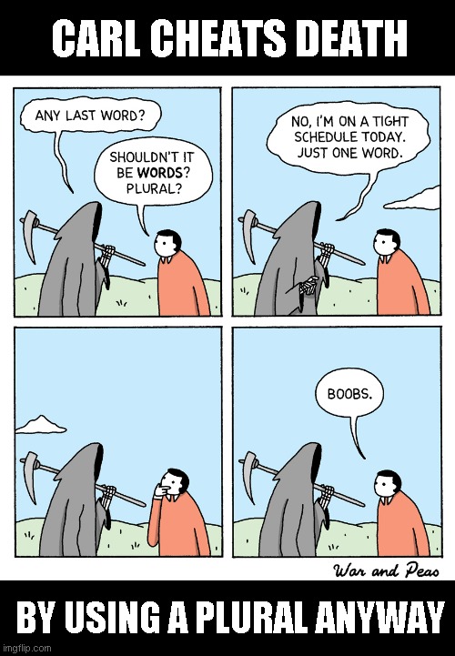 This message brought to you by the Pro Boob Association. Not to be confused with Professional bowling | CARL CHEATS DEATH; BY USING A PLURAL ANYWAY | image tagged in just a joke | made w/ Imgflip meme maker
