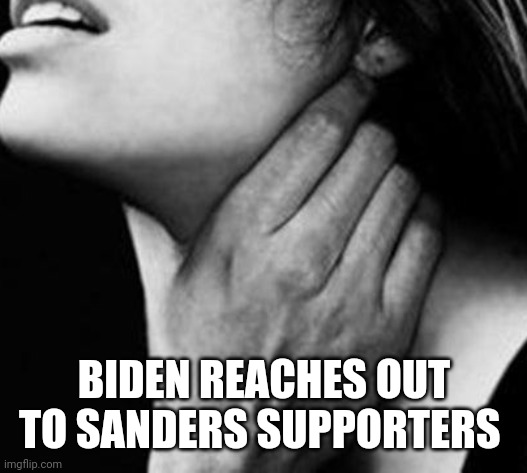 BIDEN REACHES OUT TO SANDERS SUPPORTERS | image tagged in funny memes | made w/ Imgflip meme maker