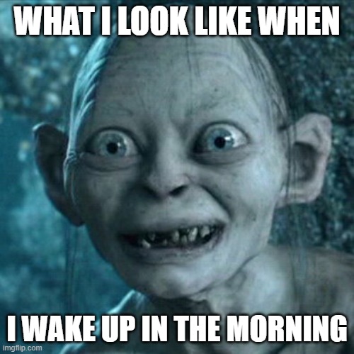 Gollum Meme | WHAT I LOOK LIKE WHEN; I WAKE UP IN THE MORNING | image tagged in memes,gollum | made w/ Imgflip meme maker
