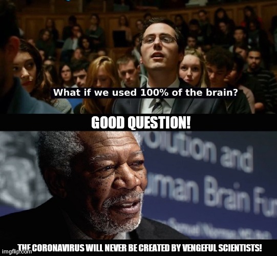What if we used 100 % of the brain? | GOOD QUESTION! THE CORONAVIRUS WILL NEVER BE CREATED BY VENGEFUL SCIENTISTS! | image tagged in what if we used 100  of the brain,truth | made w/ Imgflip meme maker