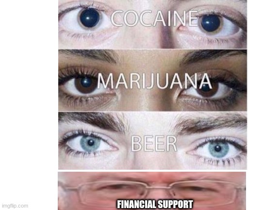 Financial Support | FINANCIAL SUPPORT | image tagged in bernie sanders financial support | made w/ Imgflip meme maker