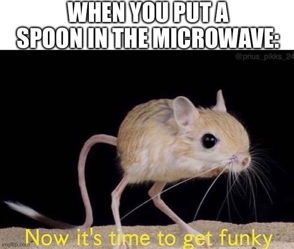 Now it’s time to get funky | WHEN YOU PUT A SPOON IN THE MICROWAVE: | image tagged in now its time to get funky | made w/ Imgflip meme maker
