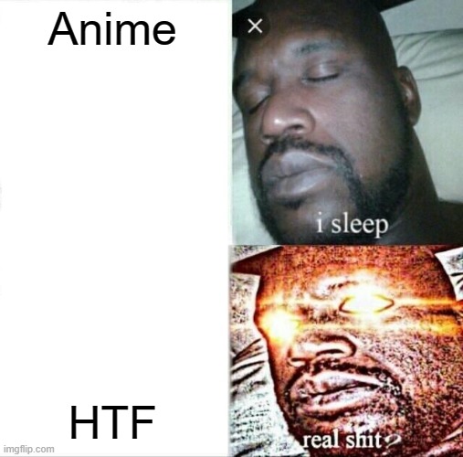 Sleeping Shaq Meme | Anime; HTF | image tagged in memes,sleeping shaq | made w/ Imgflip meme maker