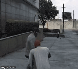 When you scare your cat | image tagged in gifs,video games | made w/ Imgflip video-to-gif maker