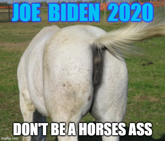 Don't be a horses' ass | JOE  BIDEN  2020; DON'T BE A HORSES ASS | image tagged in joe biden,horses ass,trump | made w/ Imgflip meme maker