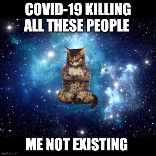 space cat | COVID-19 KILLING ALL THESE PEOPLE; ME NOT EXISTING | image tagged in space cat | made w/ Imgflip meme maker