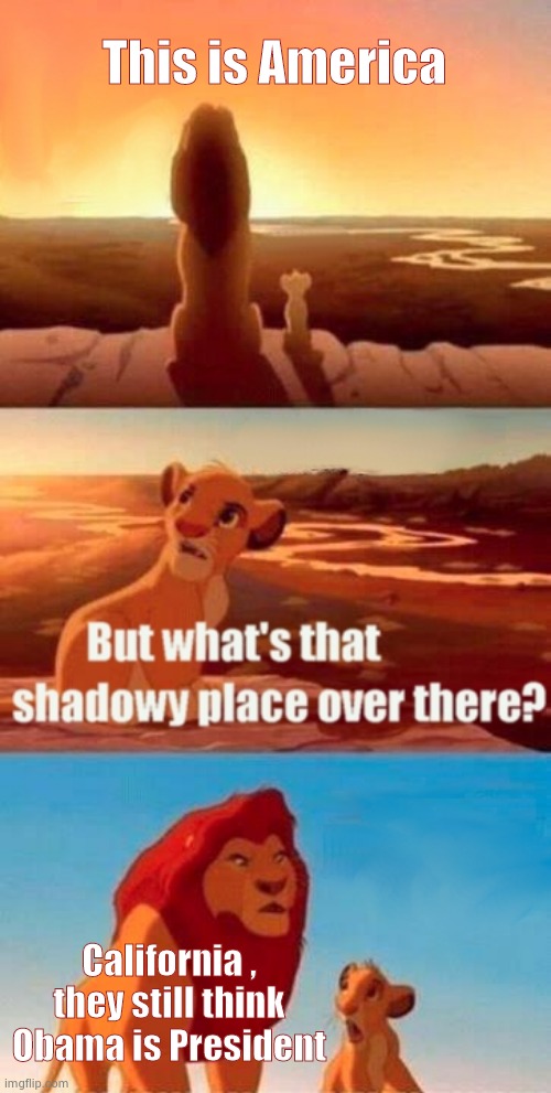 Simba Shadowy Place Meme | This is America California , they still think Obama is President | image tagged in memes,simba shadowy place | made w/ Imgflip meme maker