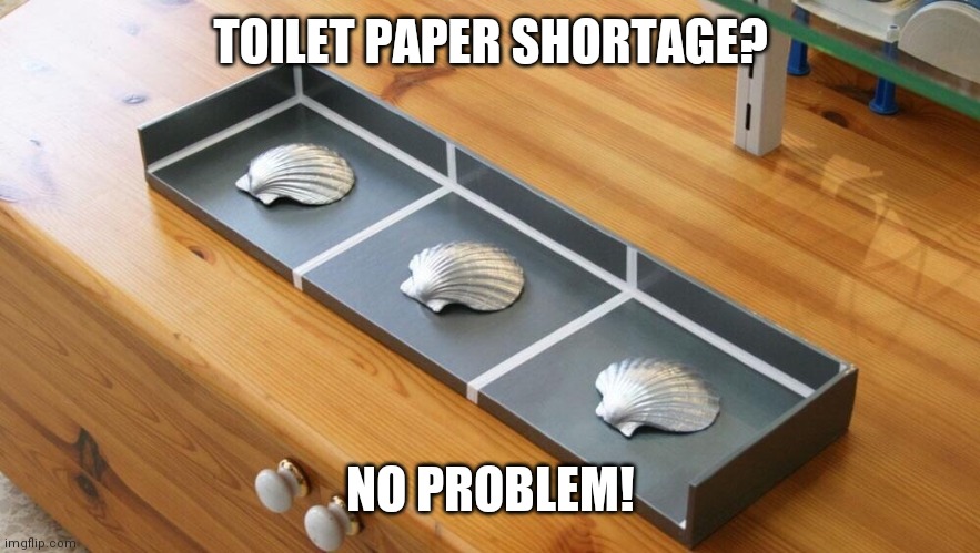 3 shells | TOILET PAPER SHORTAGE? NO PROBLEM! | image tagged in 3 shells | made w/ Imgflip meme maker