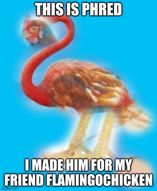 THIS IS PHRED; I MADE HIM FOR MY FRIEND FLAMINGOCHICKEN | image tagged in flamingochicken | made w/ Imgflip meme maker