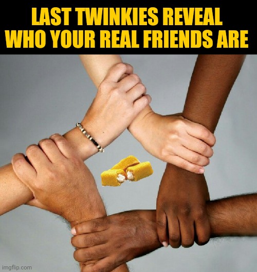 LAST TWINKIES REVEAL WHO YOUR REAL FRIENDS ARE | image tagged in fight,the struggle is real | made w/ Imgflip meme maker