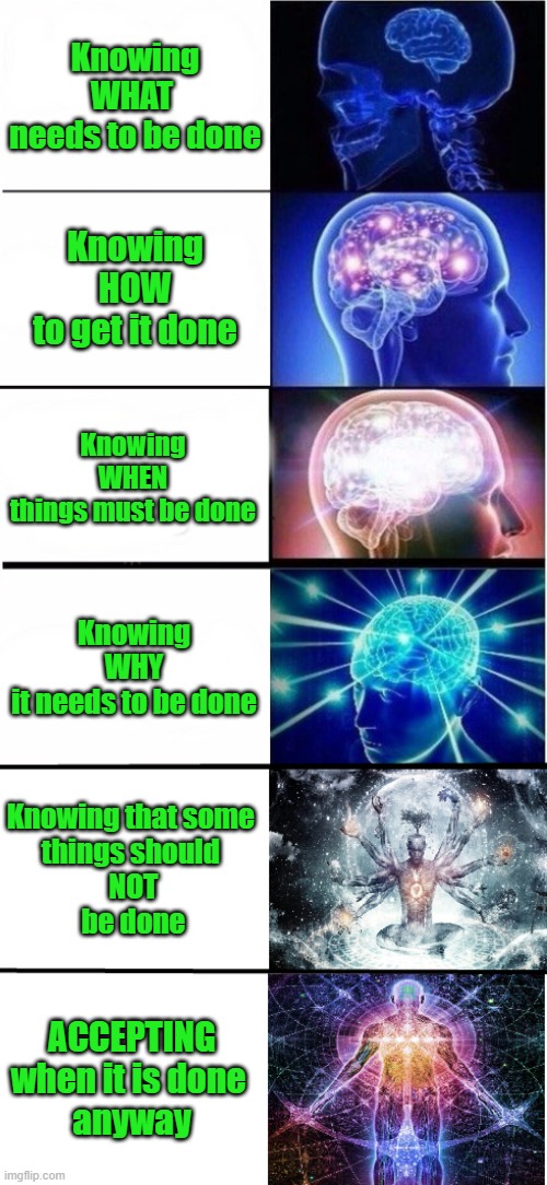 Expanding Brain 5 stages | Knowing
WHAT 
needs to be done; Knowing
HOW
to get it done; Knowing
WHEN
things must be done; Knowing
WHY
it needs to be done; Knowing that some 
things should 
NOT
be done; ACCEPTING
when it is done 
anyway | image tagged in expanding brain 5 stages | made w/ Imgflip meme maker