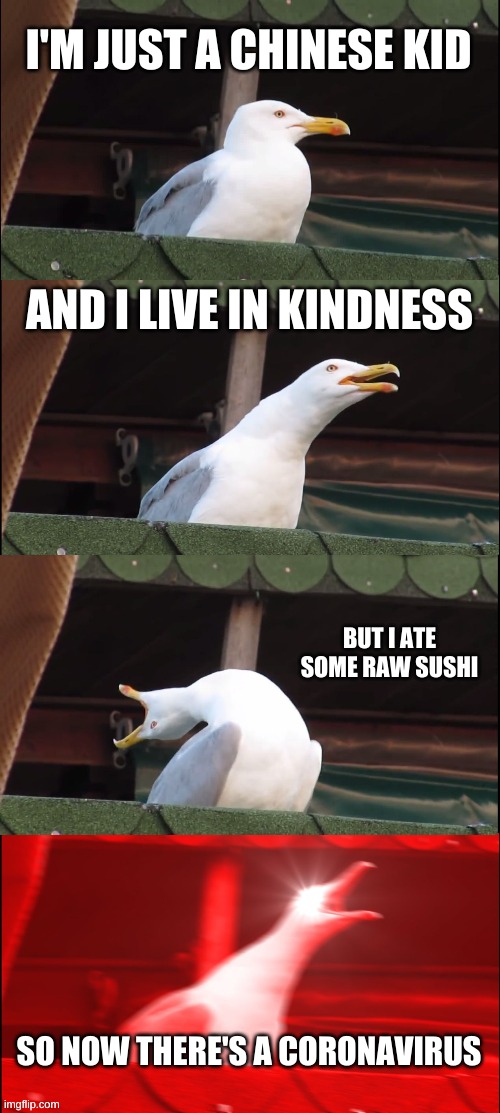 Inhaling Seagull Meme | I'M JUST A CHINESE KID; AND I LIVE IN KINDNESS; BUT I ATE SOME RAW SUSHI; SO NOW THERE'S A CORONAVIRUS | image tagged in memes,inhaling seagull,coronavirus,not racist | made w/ Imgflip meme maker