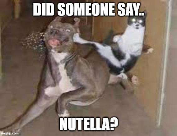 did some one say ____???? | DID SOMEONE SAY.. NUTELLA? | image tagged in did some one say ____ | made w/ Imgflip meme maker